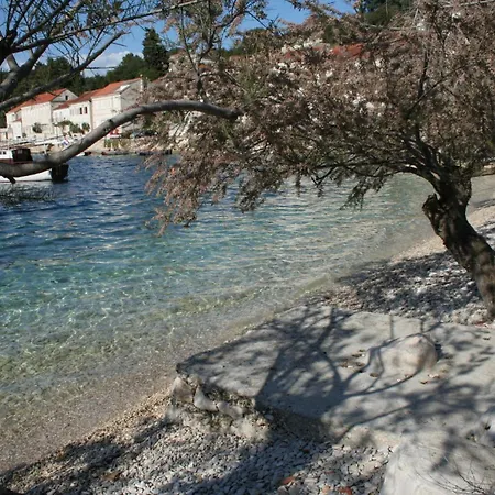 Daire By The Sea Racisce, Korcula - 4362 *